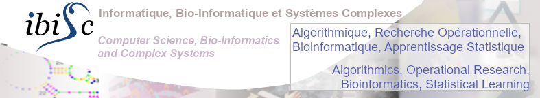 Vers la page de l'équipe AROB@S du laboratoire IBISC